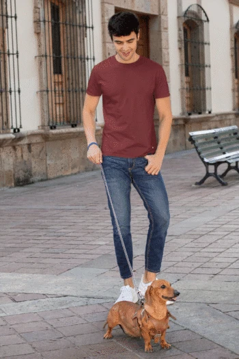 maroon Short sleeve t-shirt for men